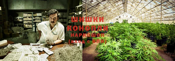 ECSTASY Богданович