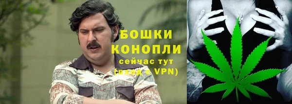 дживик Бородино