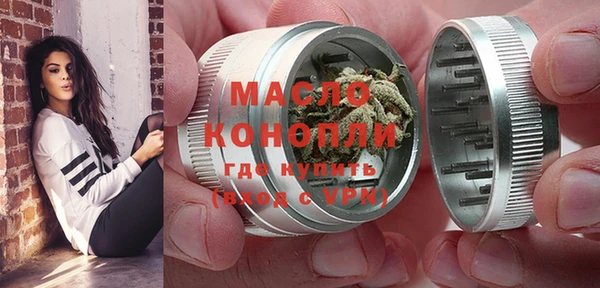 дживик Бородино