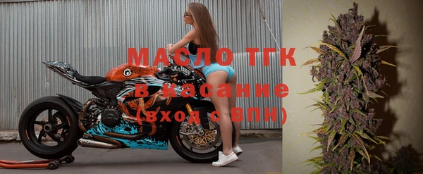 дживик Бородино