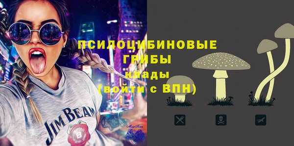 стафф Богородск