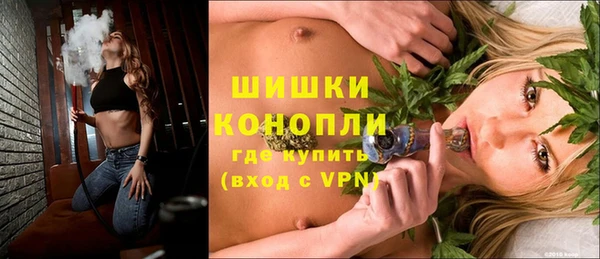дживик Бородино