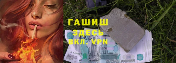 ECSTASY Богданович